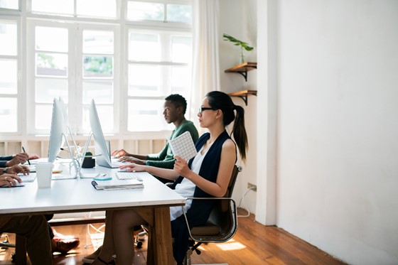 Diverse coworkers sit next to each other in a sunny, modern office